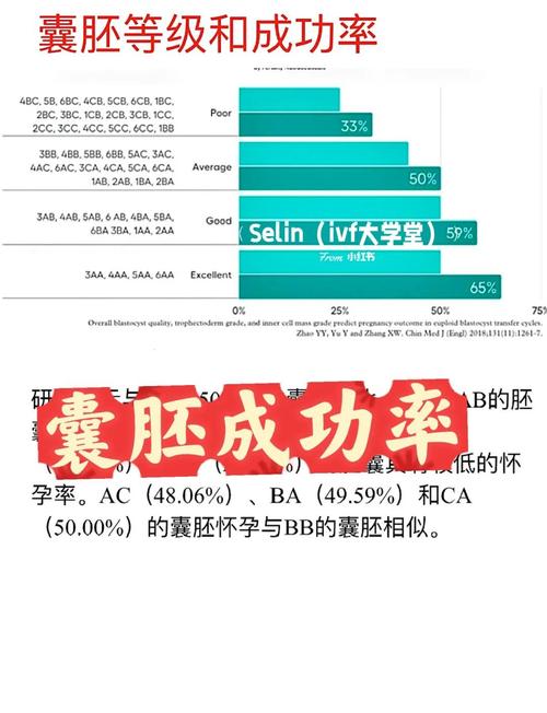 高成功率助孕方案背后的底层逻辑与关键变量全解析